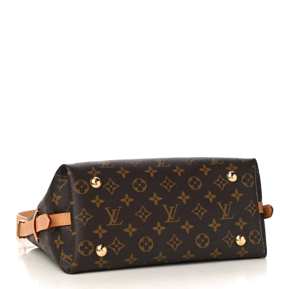 CarryAll PM Monogram